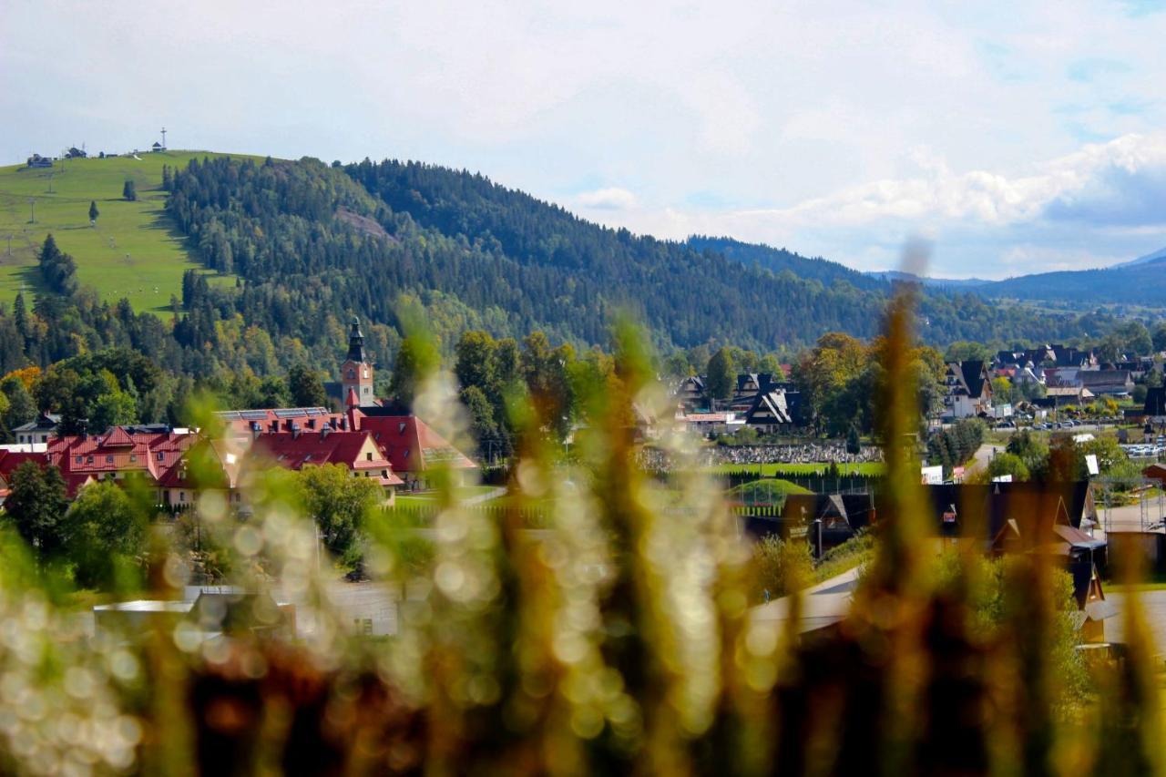 Domki W Bialce Pod Kotelnica Bialka Tatrzanska 外观 照片