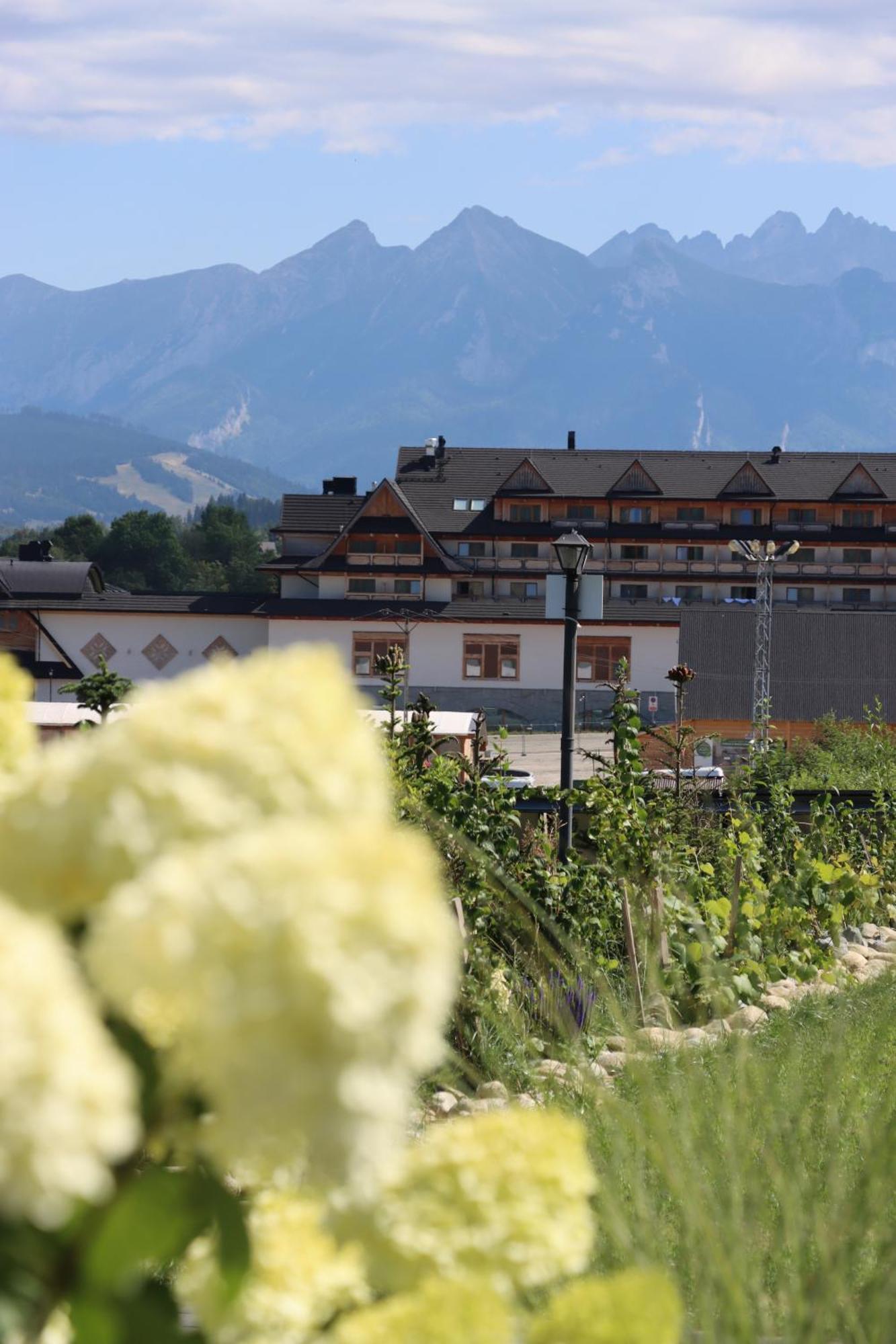 Domki W Bialce Pod Kotelnica Bialka Tatrzanska 外观 照片